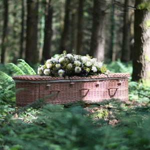 All eco-coffins